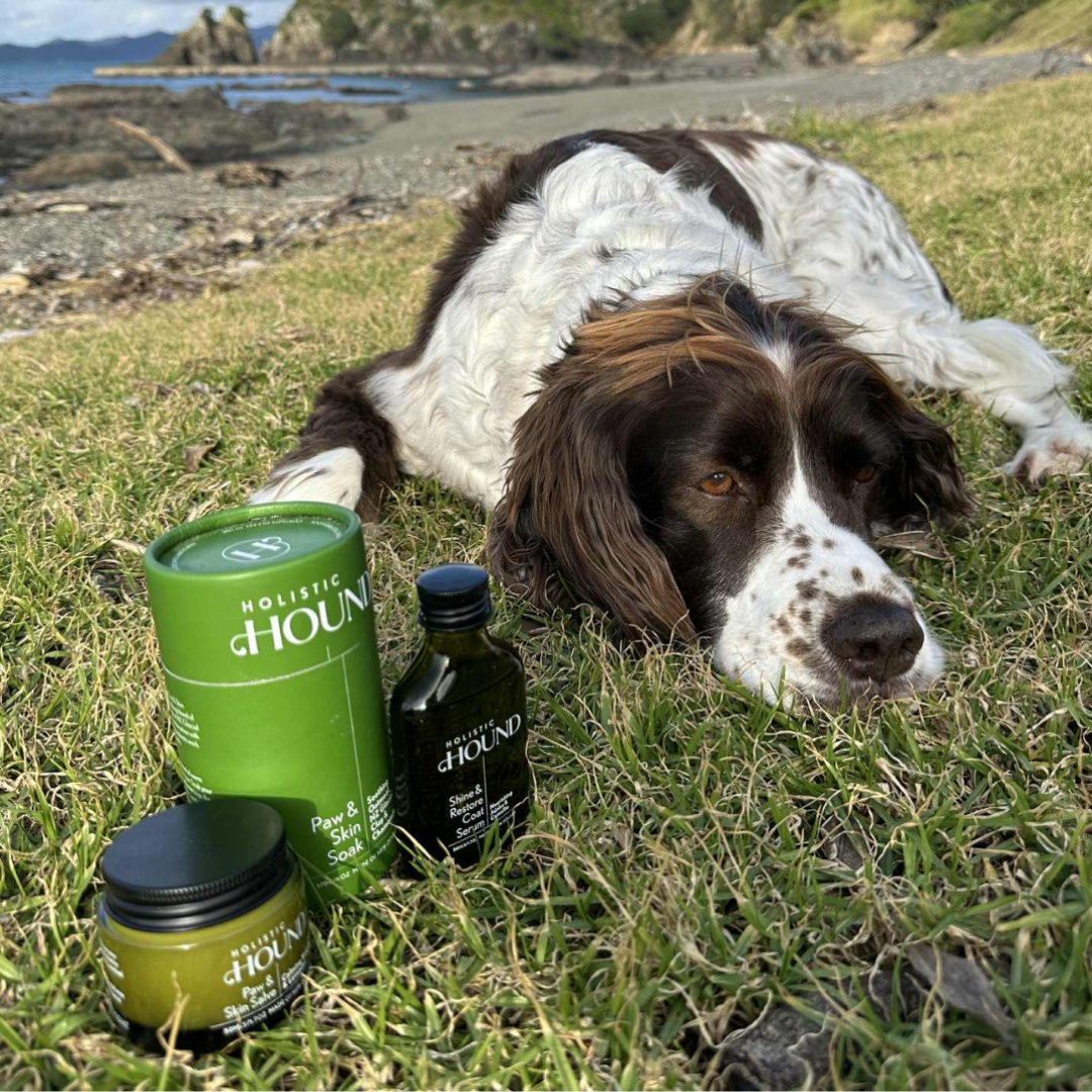 Holistic Hound Gift Card