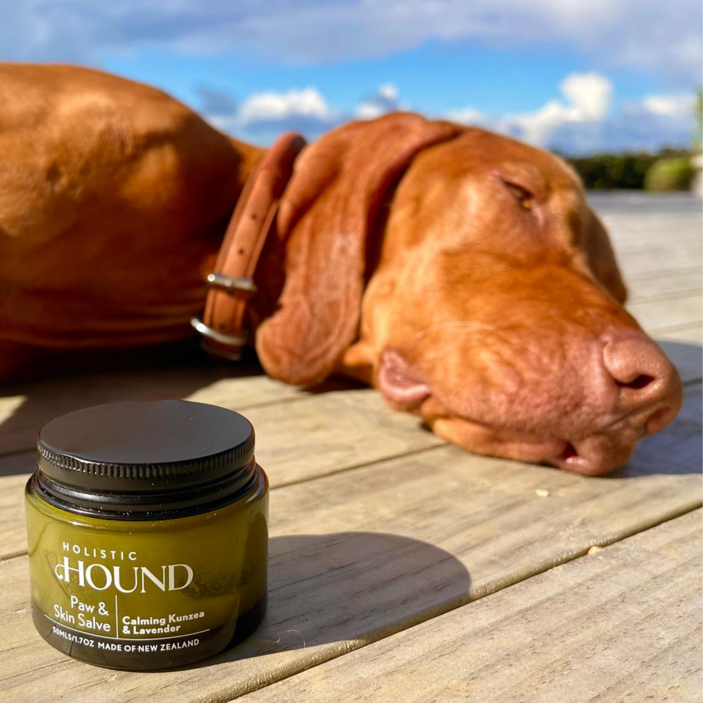 Paw & Skin Soak