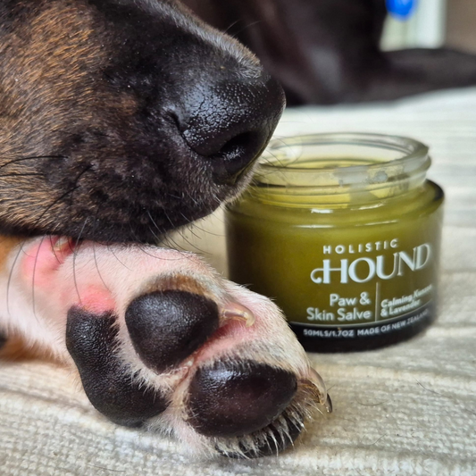 Paw & Skin Salve