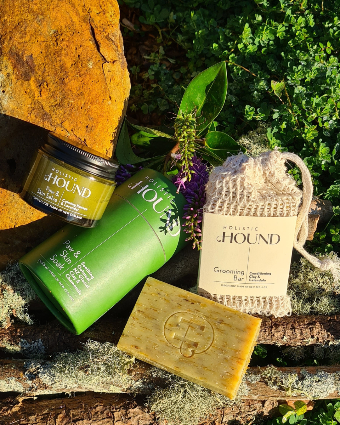 What Are Hot Spots and How Can You Help Your Hound Naturally?