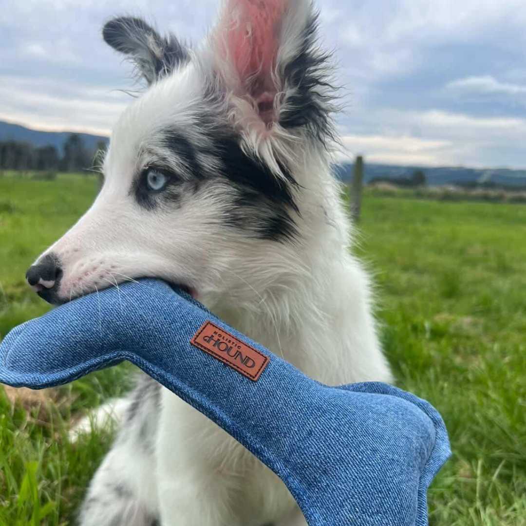 Denim Hound Bone