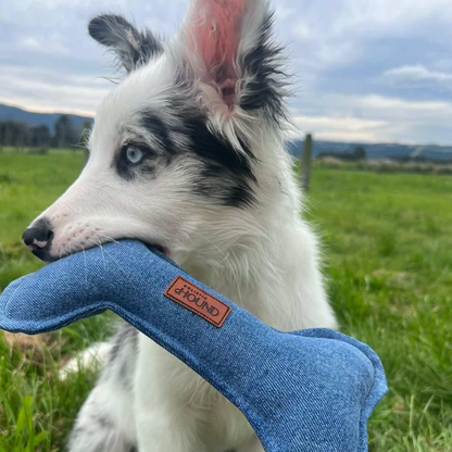 Denim Hound Bone