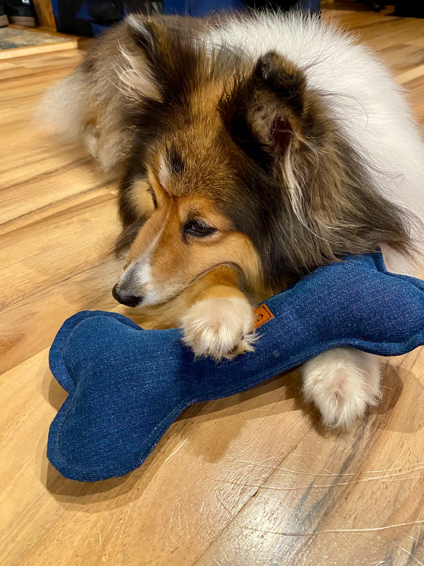 Denim Hound Bone