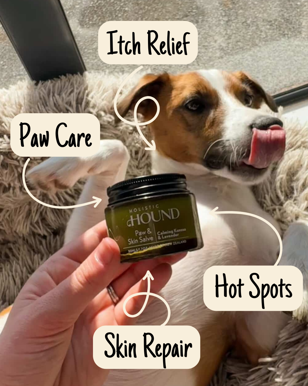 Paw & Skin Salve