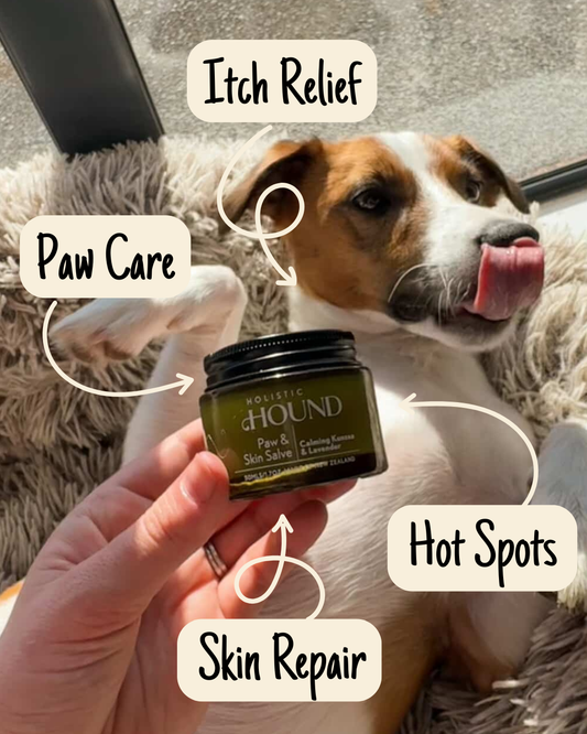 Paw & Skin Salve