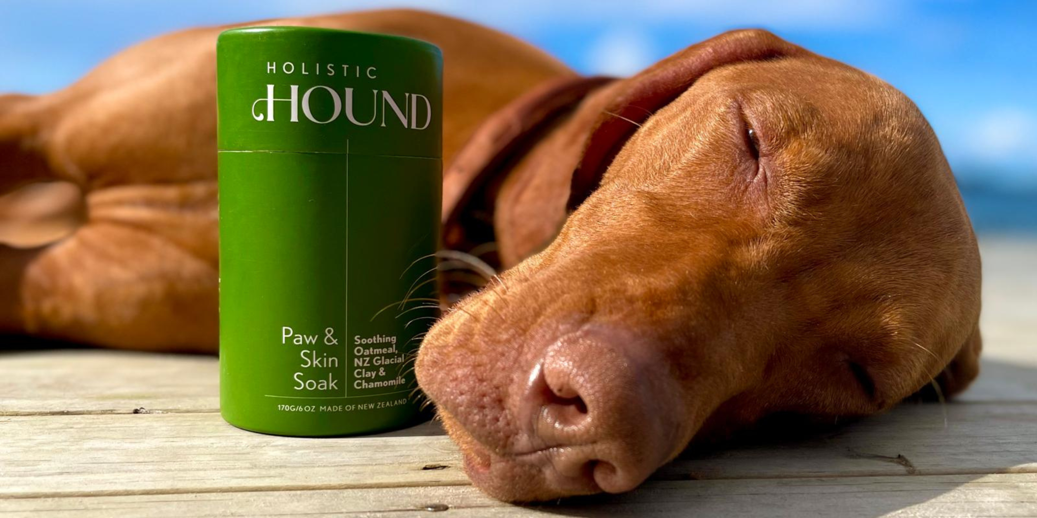 Holistic Hound screenshot 1