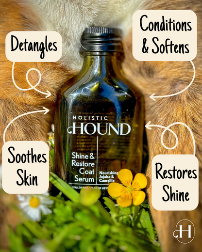 Shine & Restore Coat Serum