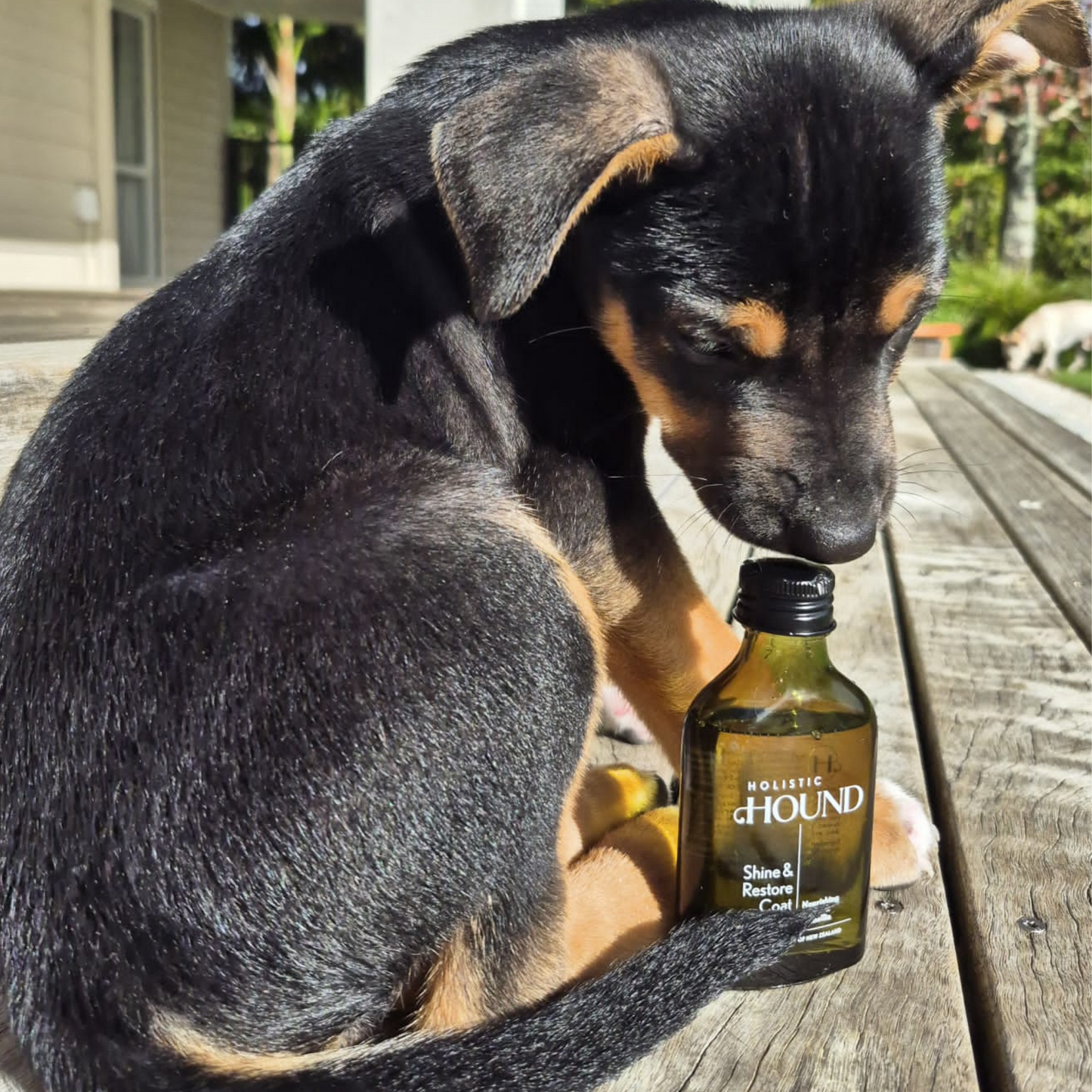 Shine & Restore Coat Serum