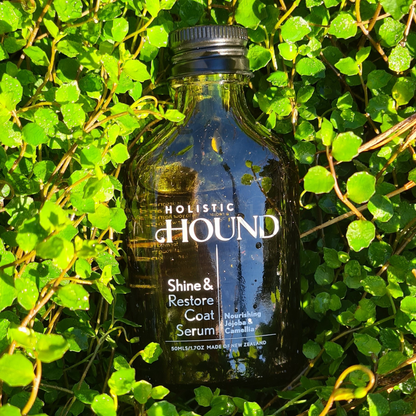 Shine & Restore Coat Serum