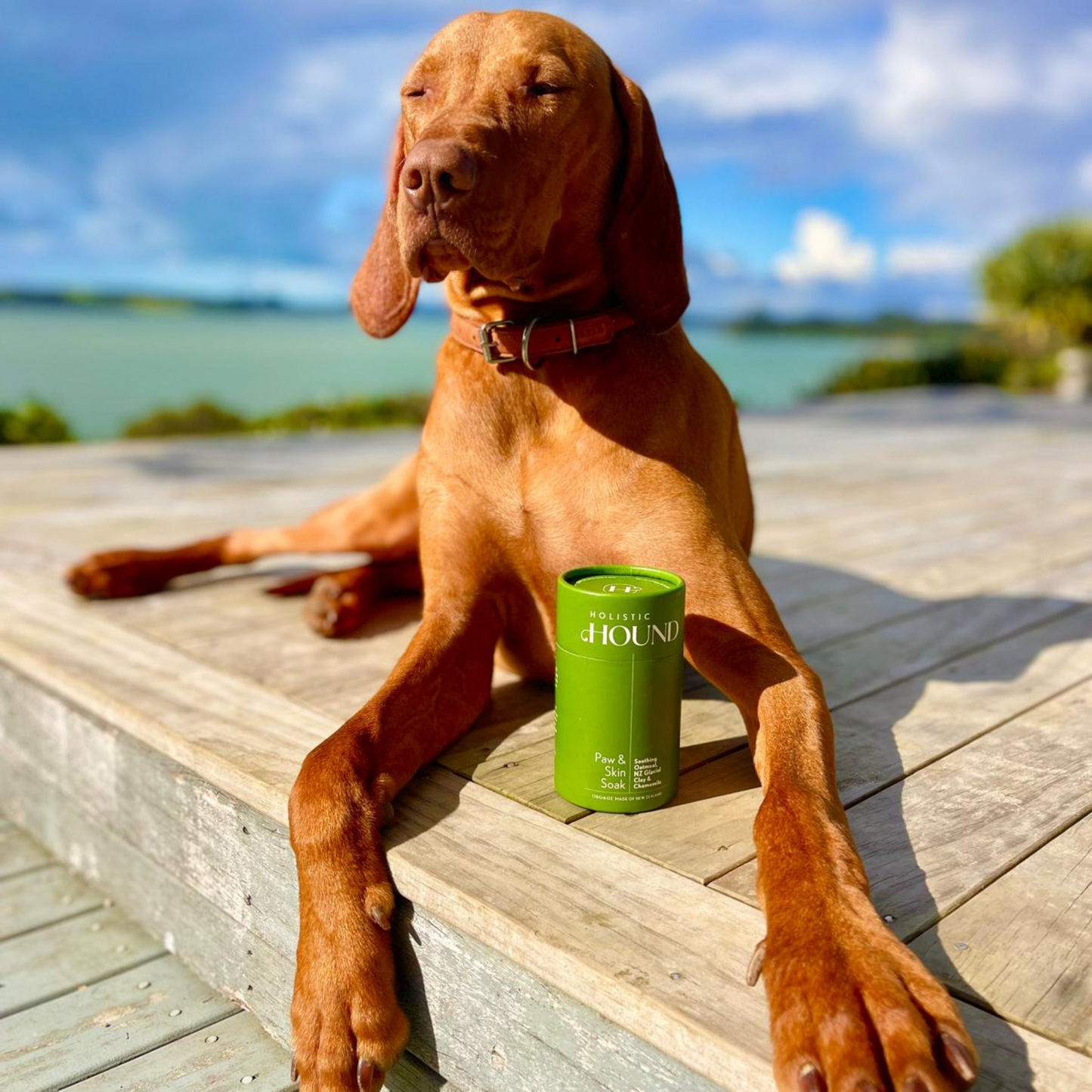 Paw & Skin Soak